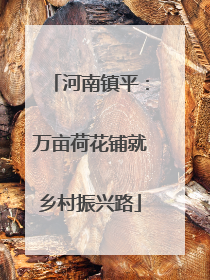 河南镇平：万亩荷花铺就乡村振兴路