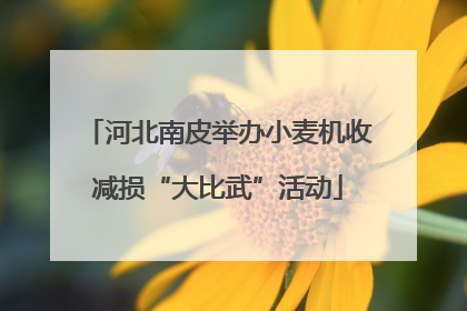 河北南皮举办小麦机收减损“大比武”活动