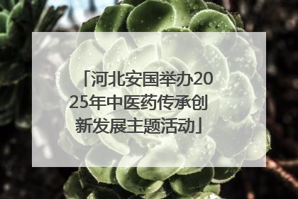 河北安国举办2025年中医药传承创新发展主题活动