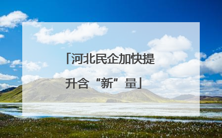 河北民企加快提升含“新”量
