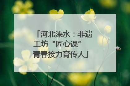 河北涞水：非遗工坊“匠心课” 青春接力育传人
