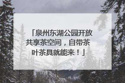 泉州东湖公园开放共享茶空间，自带茶叶茶具就能来！