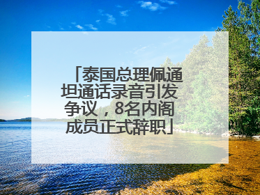 泰国总理佩通坦通话录音引发争议，8名内阁成员正式辞职