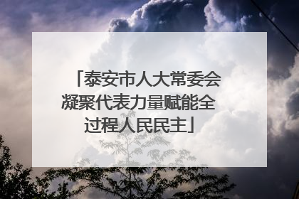 泰安市人大常委会凝聚代表力量赋能全过程人民民主