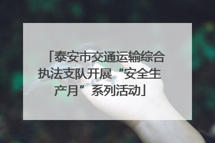 泰安市交通运输综合执法支队开展“安全生产月”系列活动