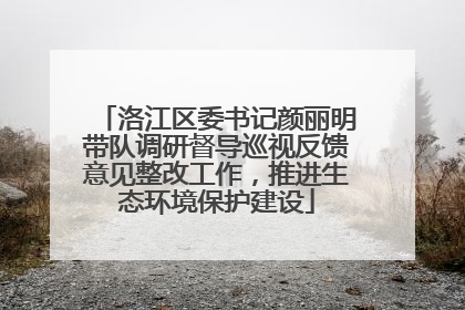 洛江区委书记颜丽明带队调研督导巡视反馈意见整改工作，推进生态环境保护建设