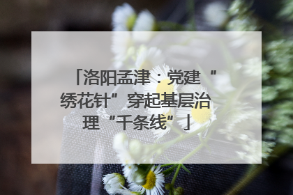 洛阳孟津：党建“绣花针”穿起基层治理“千条线”