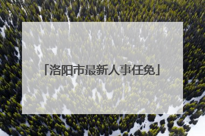 洛阳市最新人事任免
