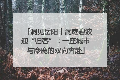 洞见岳阳丨洞庭碧波迎“归客”：一座城市与麋鹿的双向奔赴