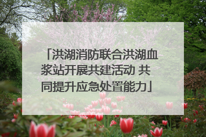 洪湖消防联合洪湖血浆站开展共建活动 共同提升应急处置能力