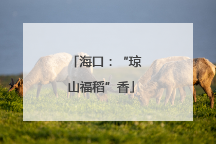 海口：“琼山福稻”香