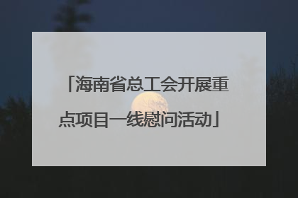 海南省总工会开展重点项目一线慰问活动