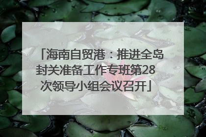 海南自贸港：推进全岛封关准备工作专班第28次领导小组会议召开