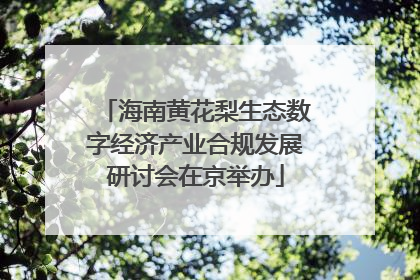 海南黄花梨生态数字经济产业合规发展研讨会在京举办