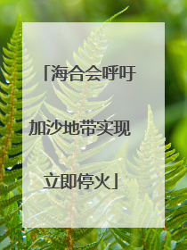 海合会呼吁加沙地带实现立即停火