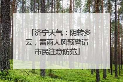 济宁天气：阴转多云，雷雨大风预警请市民注意防范