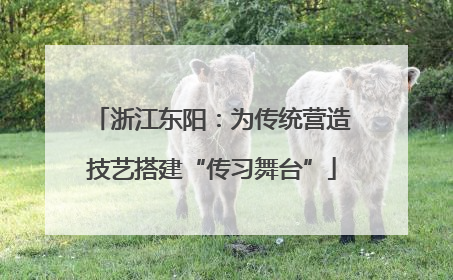 浙江东阳：为传统营造技艺搭建“传习舞台”