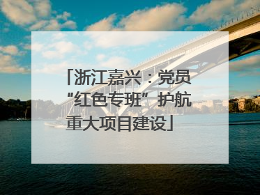 浙江嘉兴：党员“红色专班”护航重大项目建设