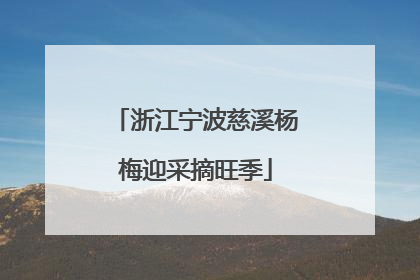 浙江宁波慈溪杨梅迎采摘旺季
