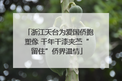 浙江天台为爱国侨胞塑像 千年干漆夹苎“留住”侨界温情