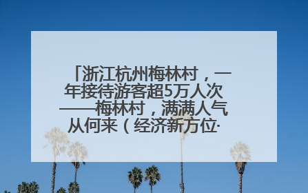 浙江杭州梅林村，一年接待游客超5万人次——梅林村，满满人气从何来（经济新方位·农村消费观察）
