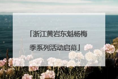 浙江黄岩东魁杨梅季系列活动启幕