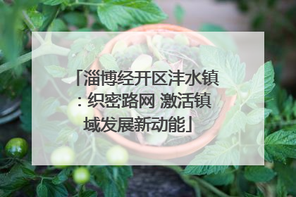 淄博经开区沣水镇：织密路网 激活镇域发展新动能