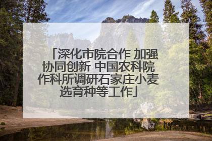 深化市院合作 加强协同创新 中国农科院作科所调研石家庄小麦选育种等工作