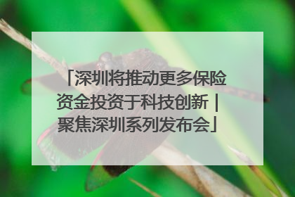 深圳将推动更多保险资金投资于科技创新｜聚焦深圳系列发布会