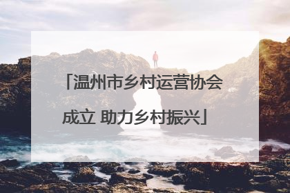 温州市乡村运营协会成立 助力乡村振兴