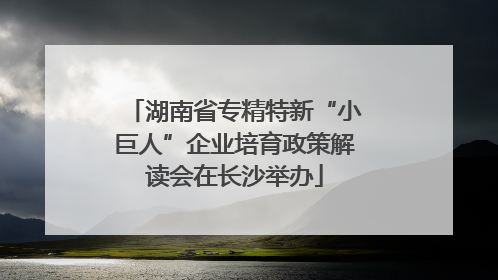 湖南省专精特新“小巨人”企业培育政策解读会在长沙举办