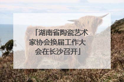 湖南省陶瓷艺术家协会换届工作大会在长沙召开