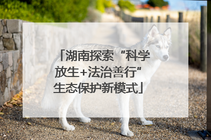 湖南探索“科学放生+法治善行”生态保护新模式