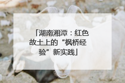 湖南湘潭：红色故土上的“枫桥经验”新实践