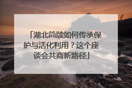 湖北简牍如何传承保护与活化利用？这个座谈会共商新路径