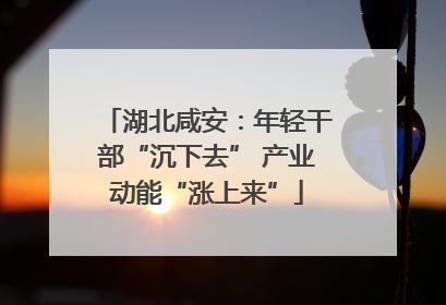 湖北咸安：年轻干部“沉下去” 产业动能“涨上来”