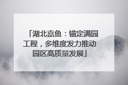 湖北嘉鱼：锚定满园工程，多维度发力推动园区高质量发展