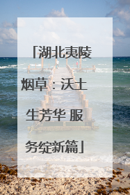 湖北夷陵烟草：沃土生芳华 服务绽新篇