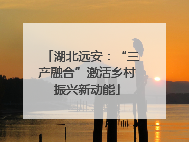 湖北远安：“三产融合”激活乡村振兴新动能