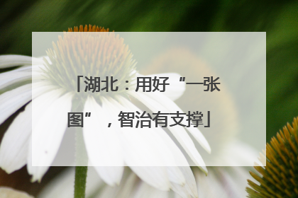 湖北：用好“一张图”，智治有支撑