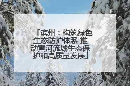 滨州：构筑绿色生态防护体系 推动黄河流域生态保护和高质量发展