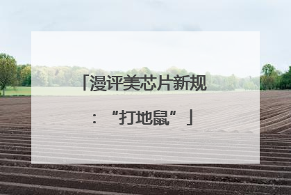 漫评美芯片新规：“打地鼠”