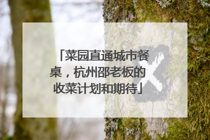 菜园直通城市餐桌，杭州邵老板的收菜计划和期待