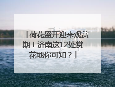 荷花盛开迎来观赏期！济南这12处赏花地你可知？