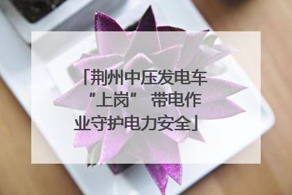荆州中压发电车“上岗” 带电作业守护电力安全