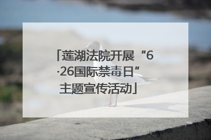 莲湖法院开展“6·26国际禁毒日”主题宣传活动