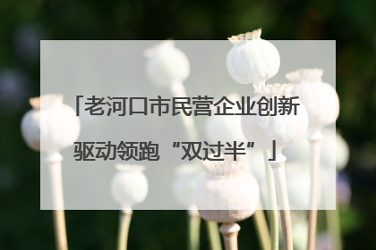 老河口市民营企业创新驱动领跑“双过半”