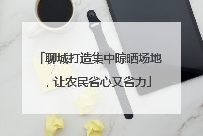 聊城打造集中晾晒场地，让农民省心又省力