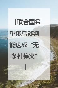 联合国希望俄乌谈判能达成“无条件停火”
