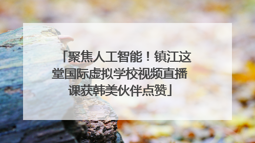 聚焦人工智能！镇江这堂国际虚拟学校视频直播课获韩美伙伴点赞